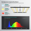 Migro Aray 4X4 - 500W LED Grow Light