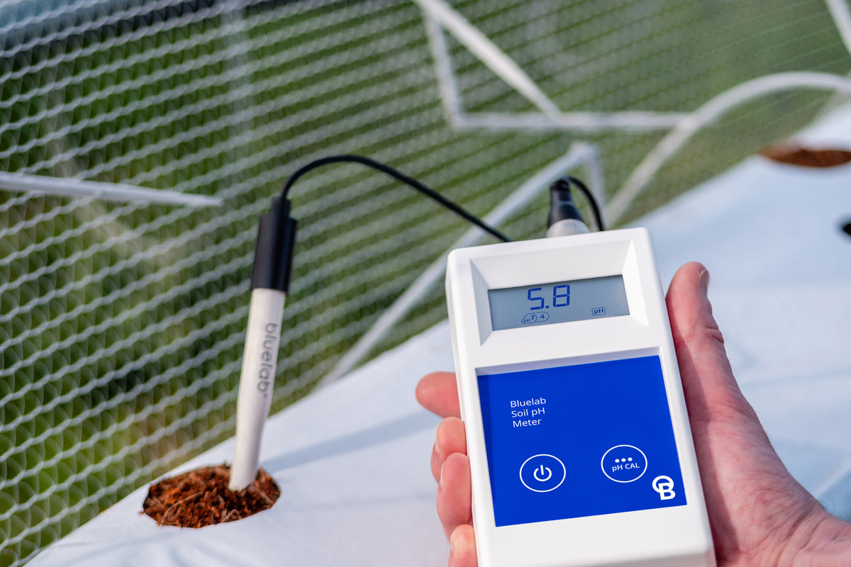 Bluelab Soil pH Meter