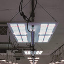 HLG 30 UVA Supplement