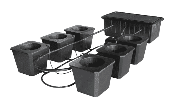 Grow Strong Industries | BubbleFlow Bucket 6 Site DWC System