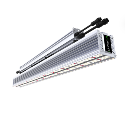 Iluminar | iL1c 2.6 330W 120-277V Single Grid SUP LED Bar / FS Grow