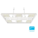 HLG Scorpion Diablo X